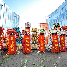 Golden Dragon and Lion Dance