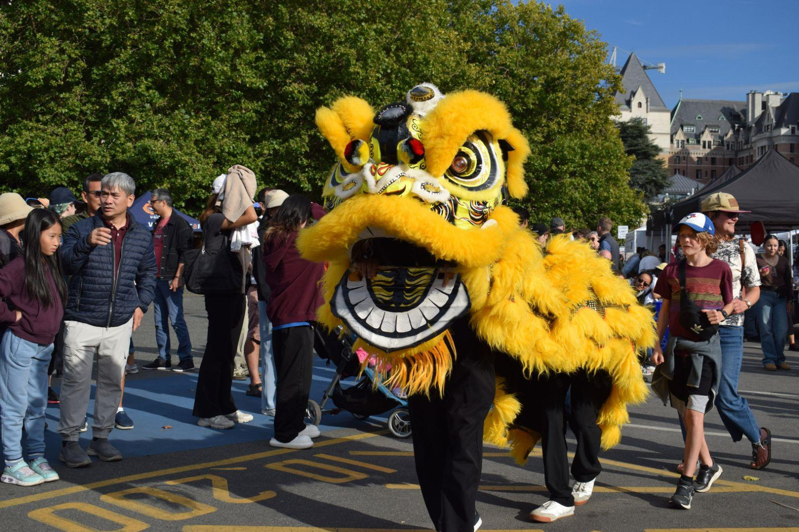Vietnam Festival