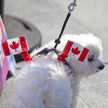 カナダ・デー - Canada Day